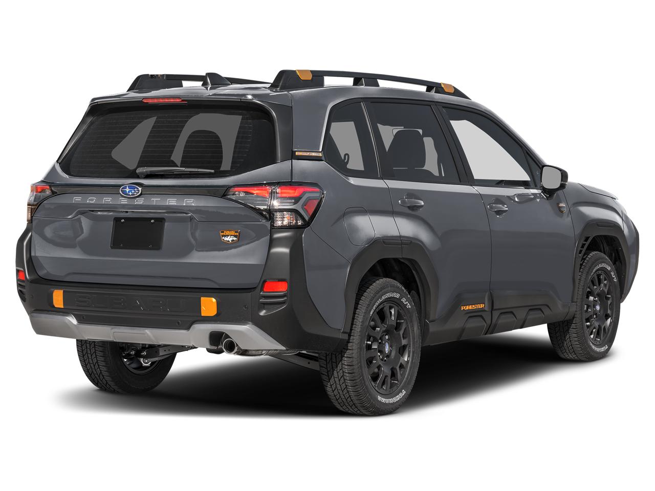 4S4SLDL65T3036031