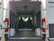 2024 RAM ProMaster 2500 High Roof