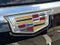 2023 Cadillac Escalade Premium Luxury Platinum