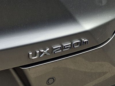 2020 Lexus UX 250h Base