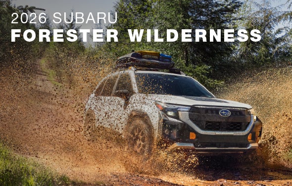 2026 Subaru Forester Wilderness | Randy Marion Subaru in Mooresville NC