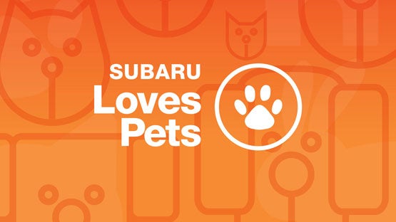 Randy Marion Subaru in Mooresville NC