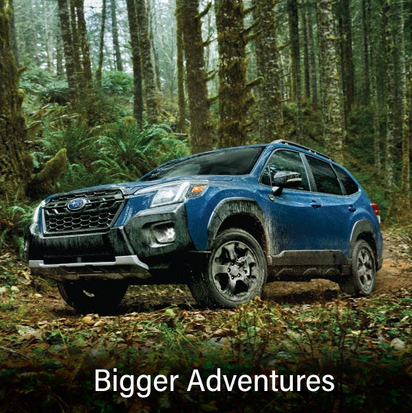 A blue Subaru outback wilderness with the words &ldquo;Bigger Adventures&ldquo;. | Randy Marion Subaru in Mooresville NC